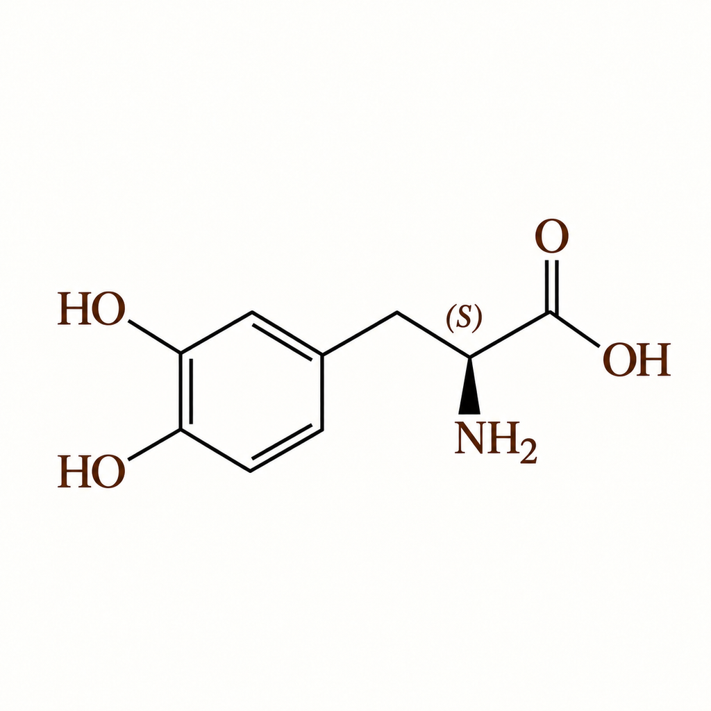 L-Dopa (Dopa Mucuna)